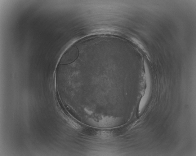 X0000073861275200608241059