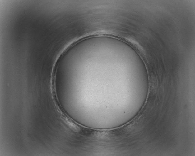 X0000073861278200608241059