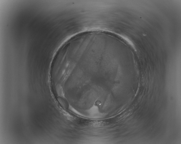 X0000073861279200608241059