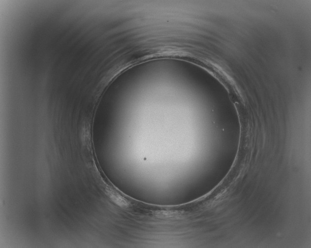 X0000073861281200608241059