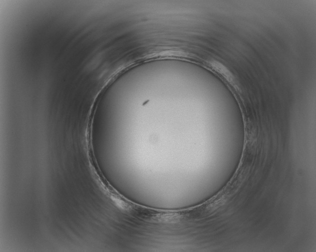 X0000073861282200608241059