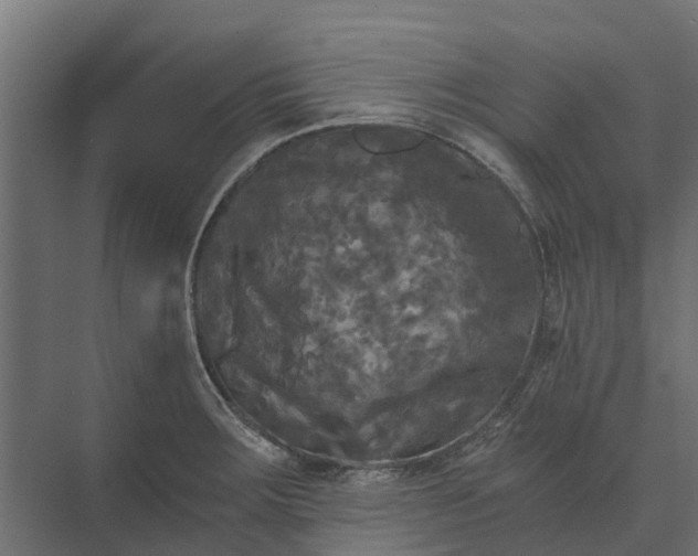 X0000073861283200608241059