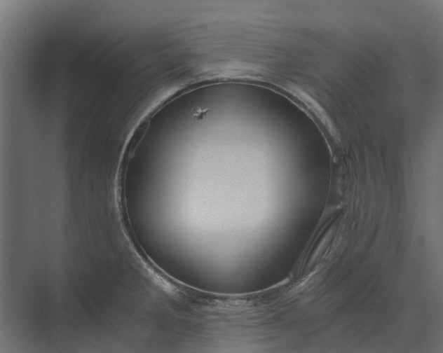 X0000073861285200608241059