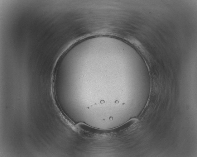 X0000073861286200608241059