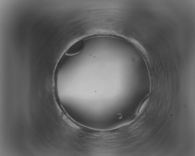 X0000073861287200608241059