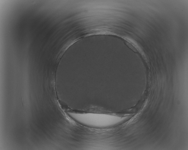 X0000073861289200608241059