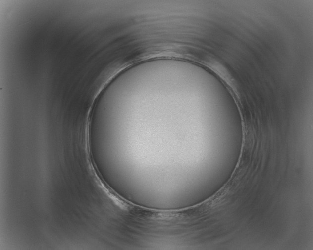 X0000073861290200608241059