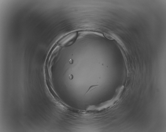 X0000073861291200608241059