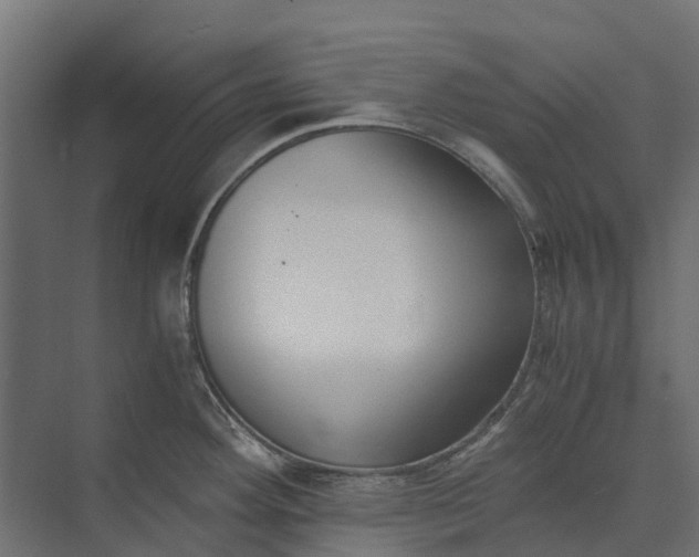 X0000073861292200608241059