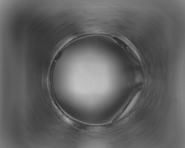 X0000073861293200608241059