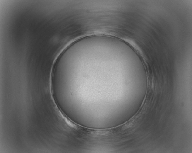 X0000073861294200608241059