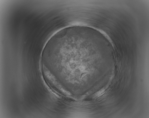 X0000073861295200608241059