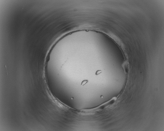 X0000073861296200608241059