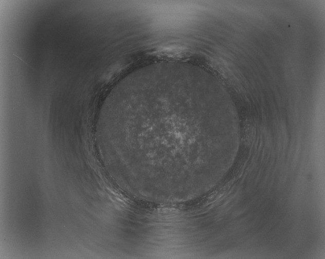 X0000073861297200608241058