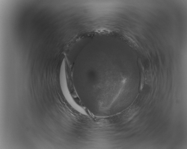 X0000073861298200608241058