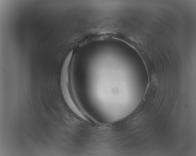 X0000073861300200608241058