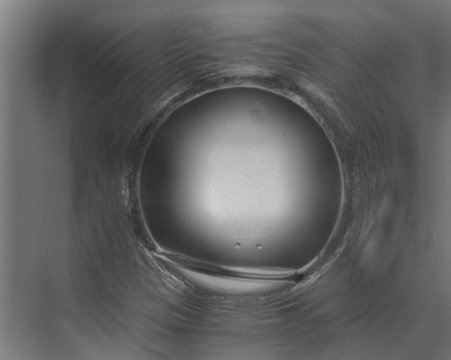 X0000073861305200608241058