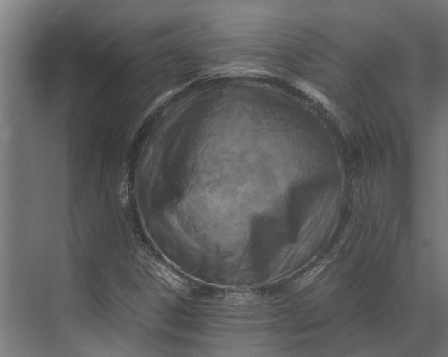 X0000073861306200608241058