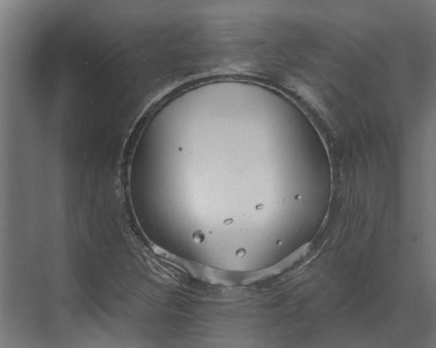 X0000073861308200608241058