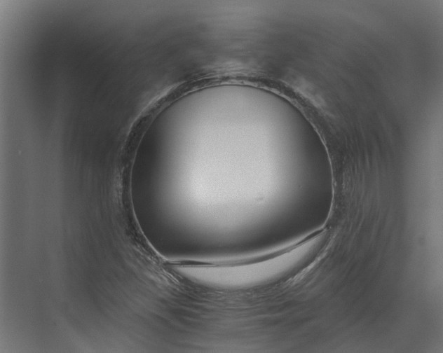 X0000073861309200608241058