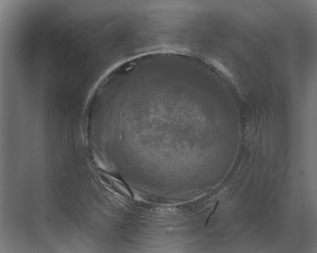 X0000073861310200608241058