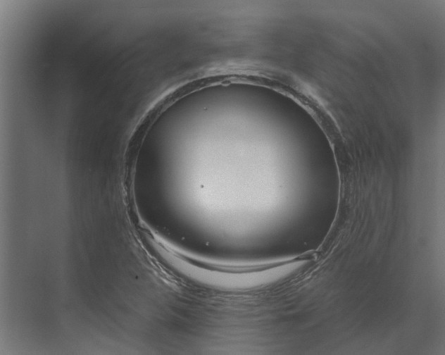 X0000073861312200608241058