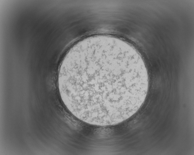 X0000073861314200608241058