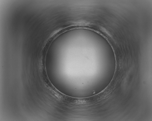 X0000073861315200608241058