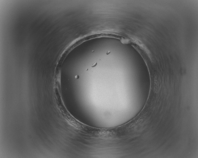 X0000073861316200608241058