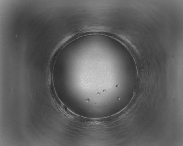 X0000073861317200608241058