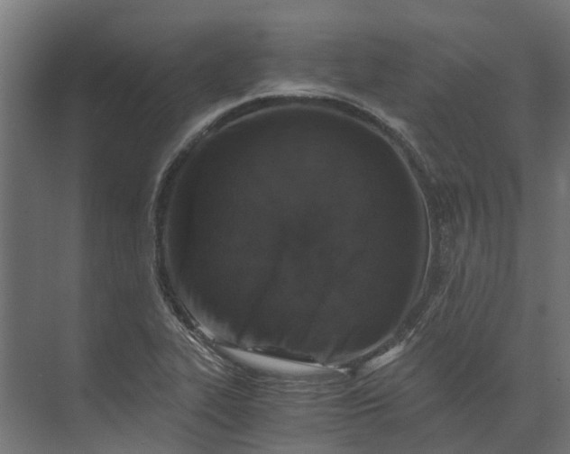 X0000073861319200608241058