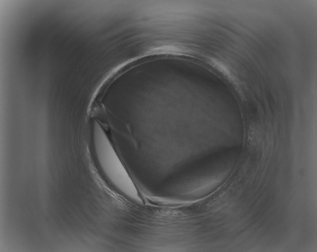 X0000073861323200608241058