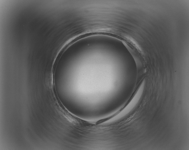 X0000073861324200608241058