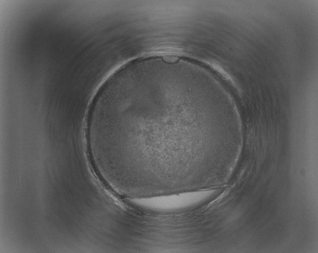 X0000073861325200608241058