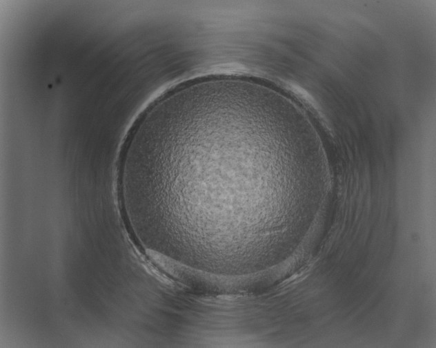 X0000073861326200608241058