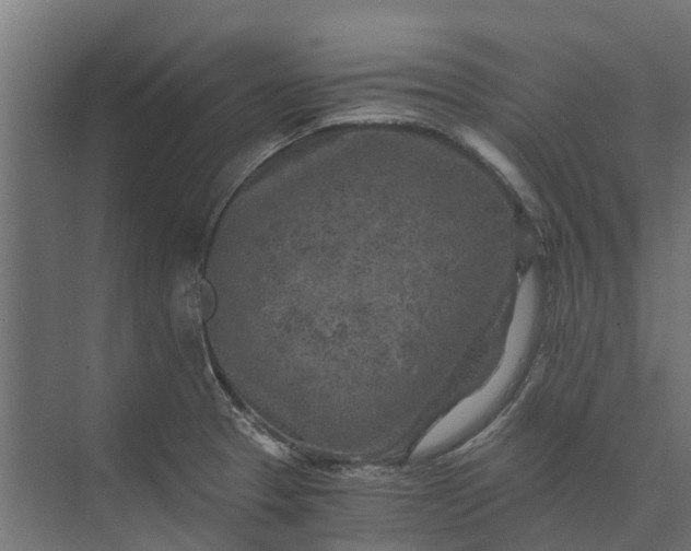 X0000073861329200608241058