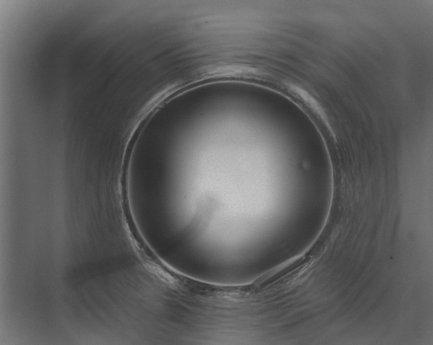 X0000073861330200608241058