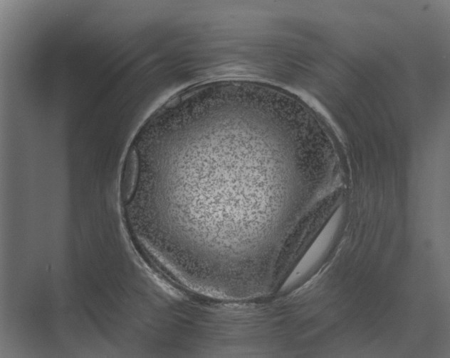 X0000073861333200608241058