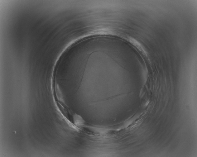 X0000073861334200608241058