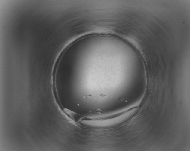 X0000073861335200608241058