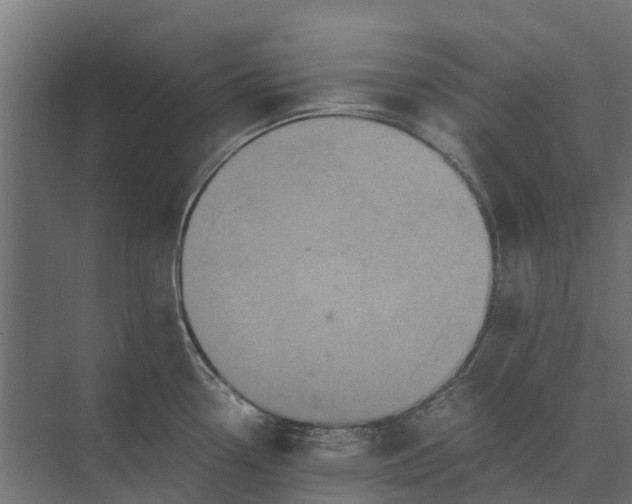 X0000073861338200608241059