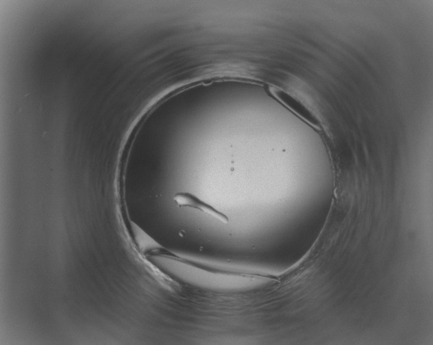 X0000073861339200608241059