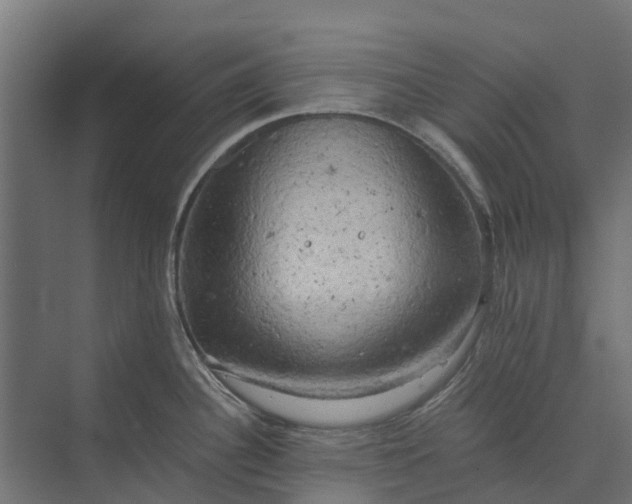 X0000073861340200608241059