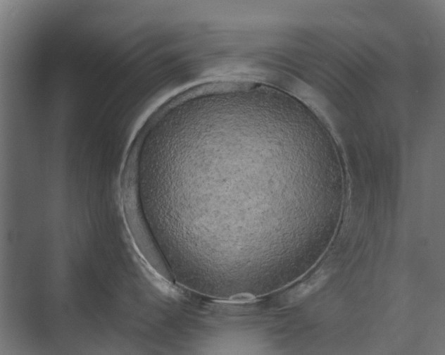 X0000073861344200608241059