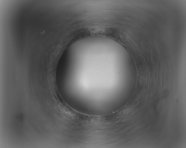 X0000073861345200608241058