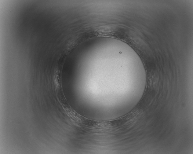 X0000073861346200608241058