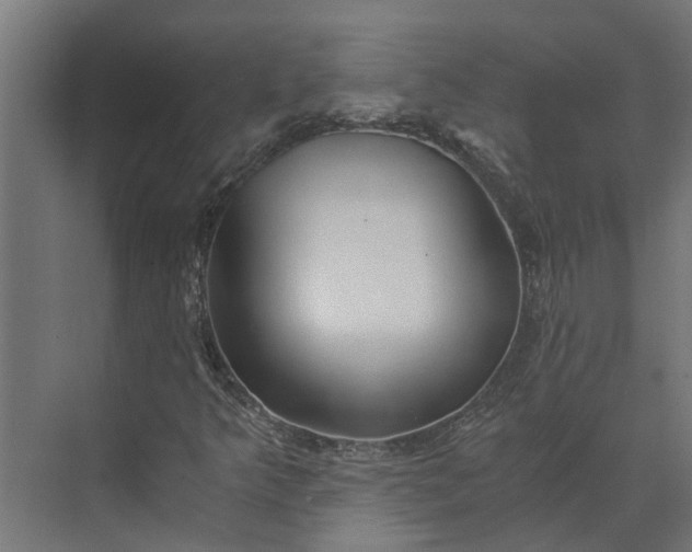 X0000073861349200608241058