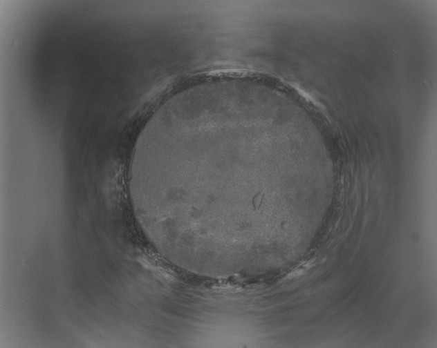 X0000073861351200608241058