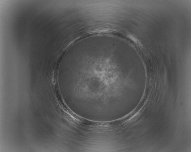 X0000073861353200608241058