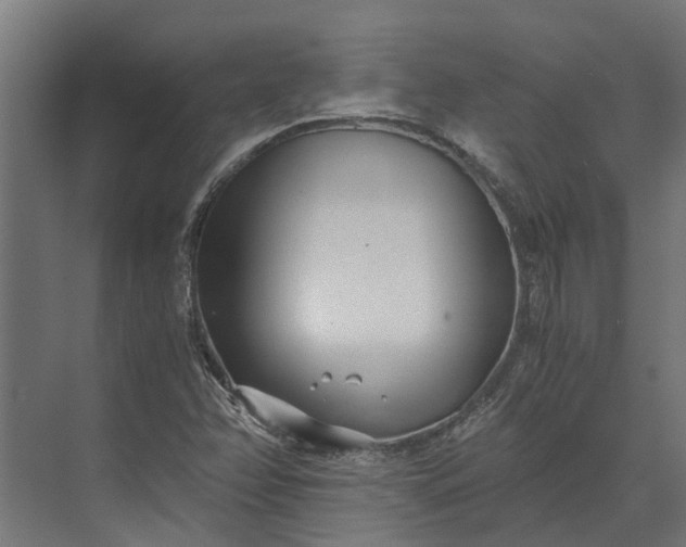 X0000073861358200608241058